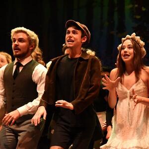 Musical: "Into The Woods"