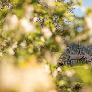 Fiere e Colori di Primavera