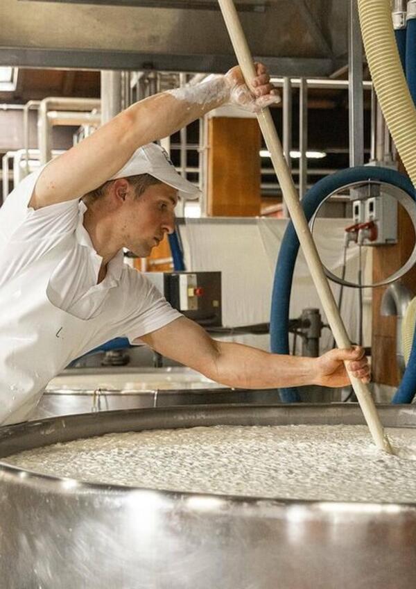 Visita al Caseificio