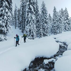 Ciaspolata facile con spuntino di mezzogiorno