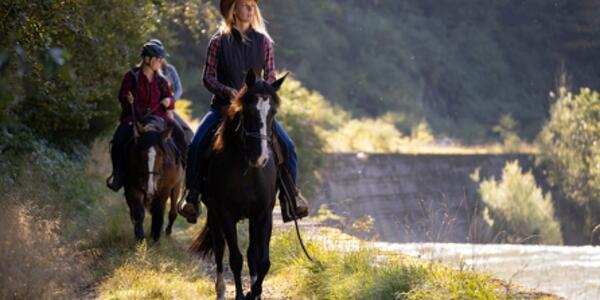 Passeggiata a Cavallo all'Alba con Colazione