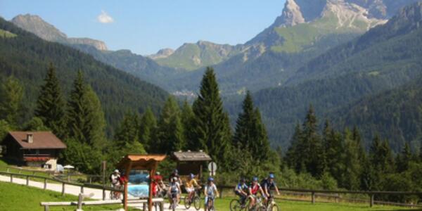 Tour in E-Bike di Bosco in Malga