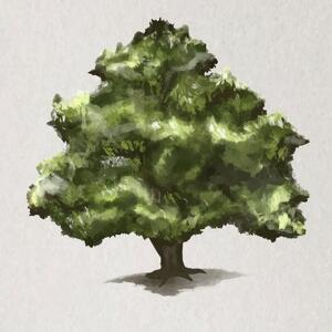 L'albero, la Pittura