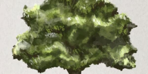 L'albero, la Pittura