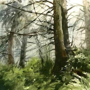 Carta Natura: Boschi e Paesaggi Naturali con Francisco Castro