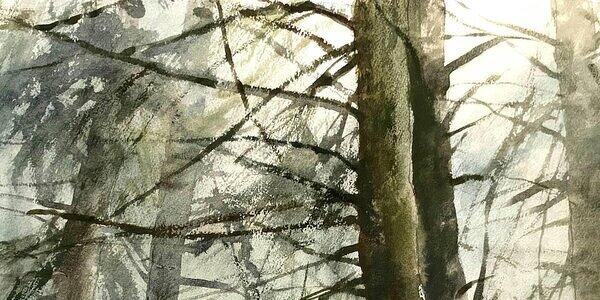 Carta Natura: Boschi e Paesaggi Naturali con Francisco Castro