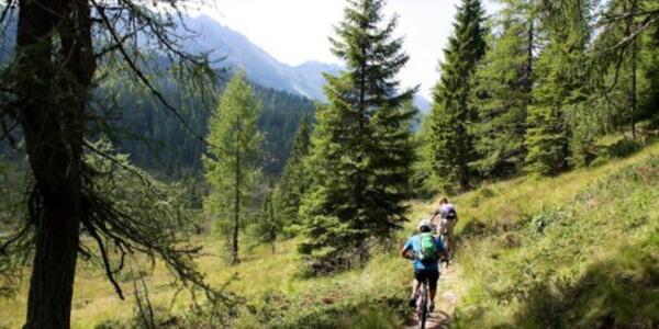 Tour in E-Bike in Val Canali