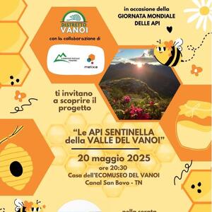 Le api, sentinelle della Valle del Vanoi