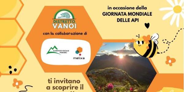 Le api, sentinelle della Valle del Vanoi