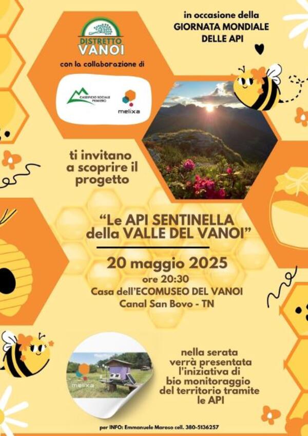 Le api, sentinelle della Valle del Vanoi