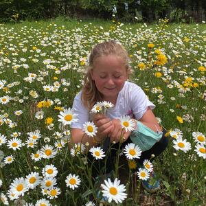 Il grande gioco delle erbe e dei fiori