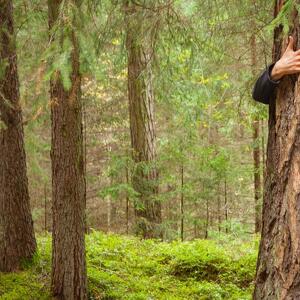 Vanoi Forest Bathing