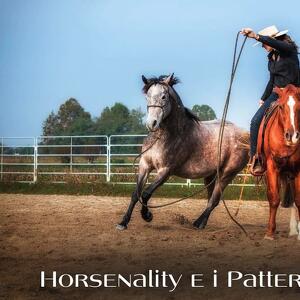Horsenality e i Pattern d'Impulso