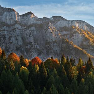 Feltrino e Primiero insieme sul Passo del Pavion