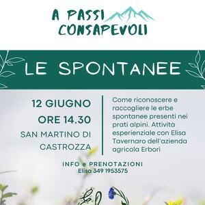 Le Spontanee