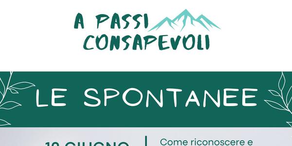 Le Spontanee