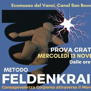 Metodo Feldenkrais