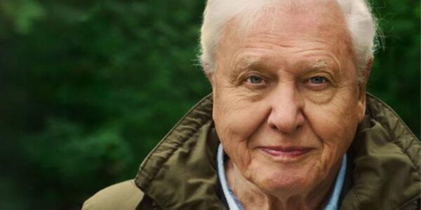 David Attenborough