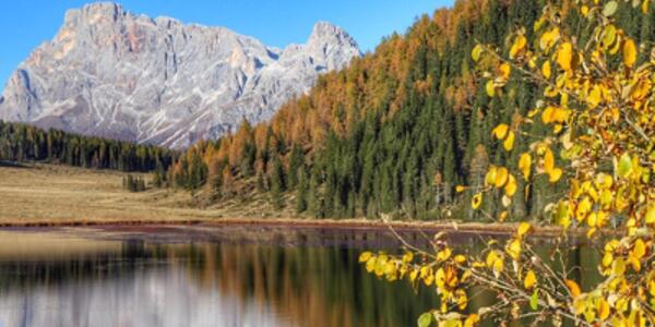 Foliage e respiri di montagna