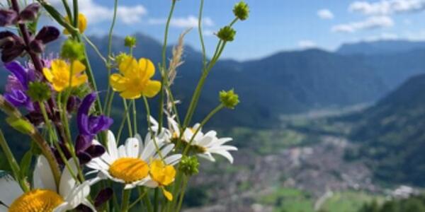 Pilates con Colazione