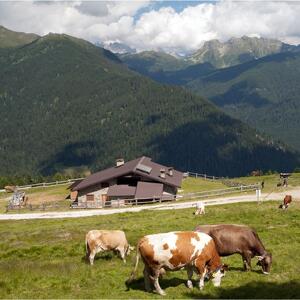 Vanoi Panorama Trail