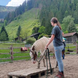 Un Cavallo per Amico