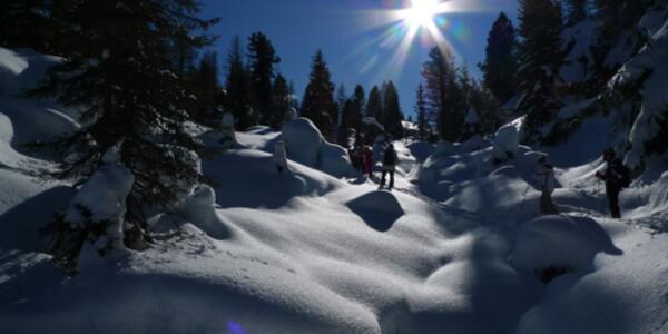 La terrazza sulle Pale