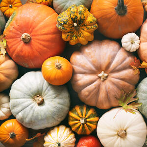 Festa della Zucca: "Ho una zucca per la testa"