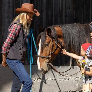 Horse and Dog Education