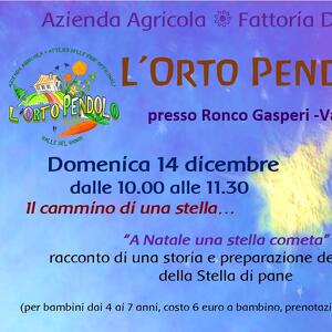 Il cammino di una stella...racconti di Natale e attività manuali