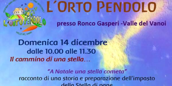 Il cammino di una stella...racconti di Natale e attività manuali