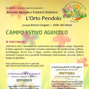 Campo estivo agricolo presso Az. Agr. e Fattoria Didattica L'Orto Pendolo