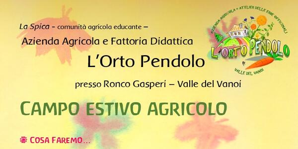 Campo estivo agricolo presso Az. Agr. e Fattoria Didattica L'Orto Pendolo