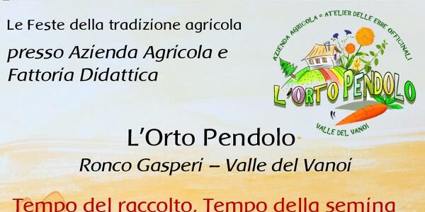 Tempo del raccolto, tempo della semina: la Festa di San Michele