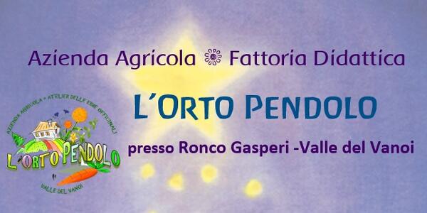 Il Cammino di una Stella....teatrino e attività manuali