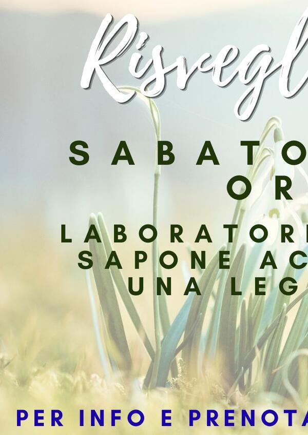 Risvegli Primaverili in Val Canali